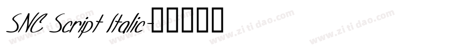 SNC Script Italic字体转换